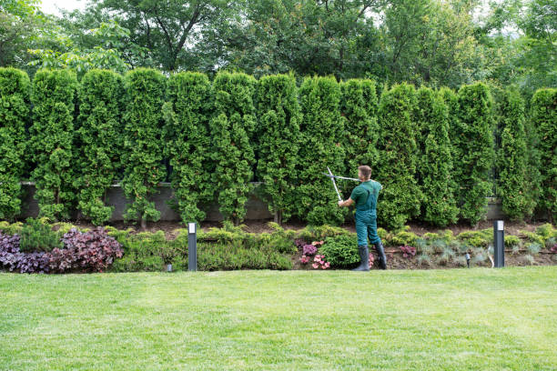 Best Tree Clearing Services  in Newtown, PA